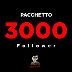 3000 Follower