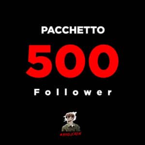 500 Follower
