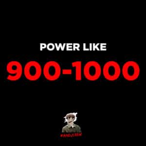 900 - 1000 Power Like