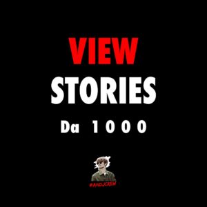 1000 Stories View